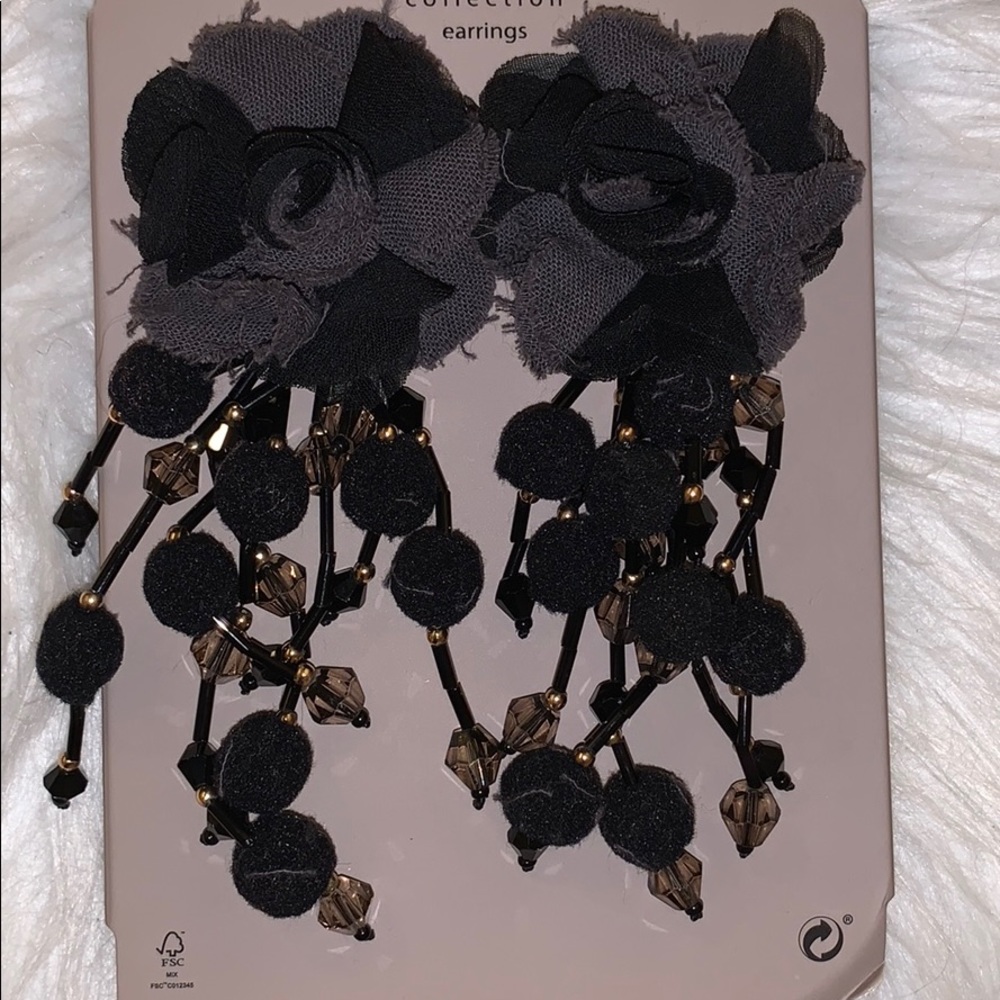 Zara Collection Earrings